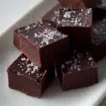 “No-Bake Fudgy Chocolate Squares on a plate, rich and gooey chocolate dessert, easy no-bake recipe”